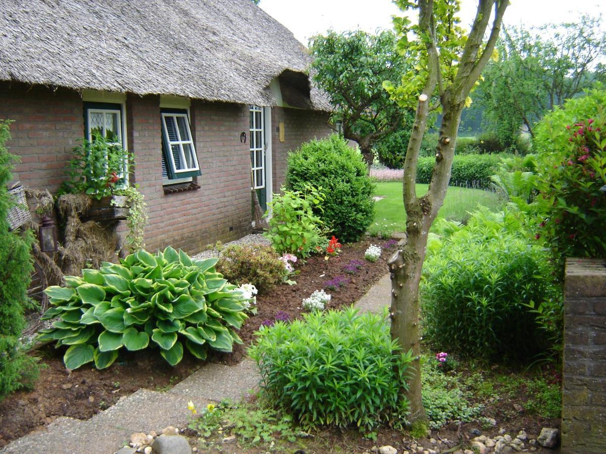 Anton's Erfje Villa Dalfsen Buitenkant foto
