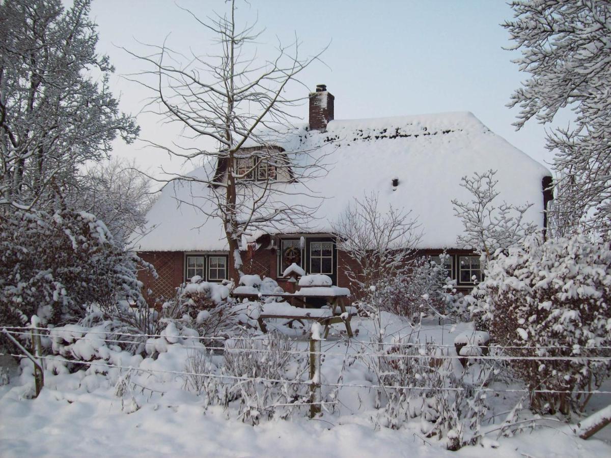 Anton's Erfje Villa Dalfsen Buitenkant foto